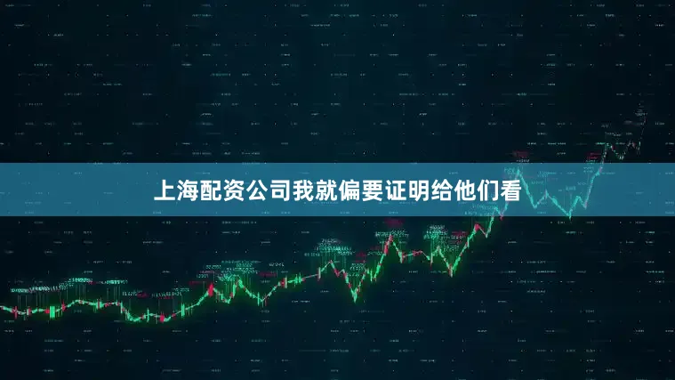 上海配资公司我就偏要证明给他们看