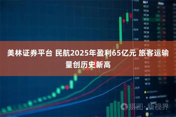 美林证券平台 民航2025年盈利65亿元 旅客运输量创历史新高