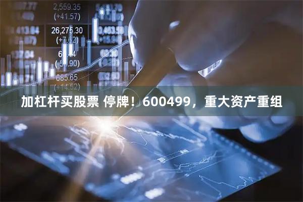 加杠杆买股票 停牌！600499，重大资产重组