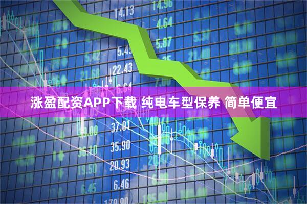 涨盈配资APP下载 纯电车型保养 简单便宜