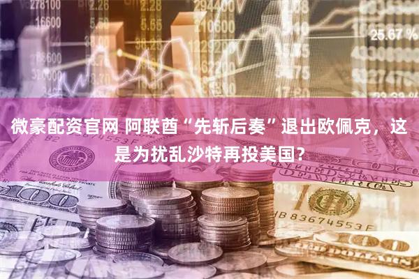 微豪配资官网 阿联酋“先斩后奏”退出欧佩克，这是为扰乱沙特再投美国？
